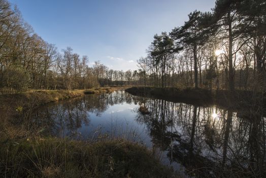 The Nonnenven nature reserve in the hamlet Kotten nearby Winterswijk in the Netherlands.
The Lake was formed by excavation of ground used for the railway line between Borken (D) to provide a higher embankment. The railway is currently no longer in use and returned to nature.