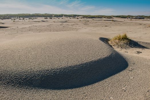 Beach on the island of Terschelling in the Netherlands