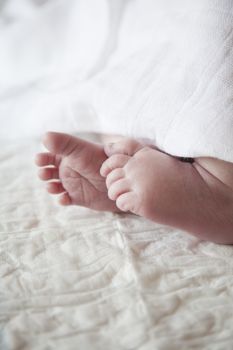 closeup fingers foot feet of twelve days age baby over white bedcover