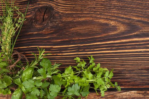 Culinary herbs background with copy space. Fresh basil, cilantro, chive, parsley and mint herbs on brown wooden background with copy space.