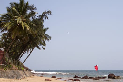 GOA India Beach, beautiful with palm trees.