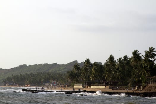 GOA India Beach, beautiful with palm trees.