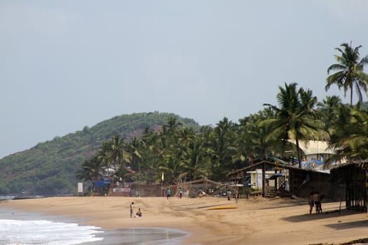 GOA India Beach, beautiful with palm trees.