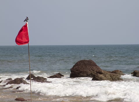 Red flag with the bird sitting on it. GOA India Beach.