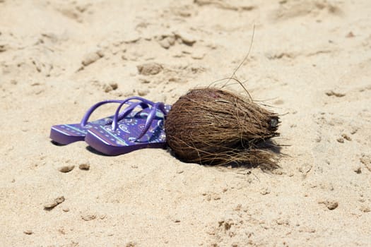 Flip-flop and coconut on a beautiful beach. India Goa.