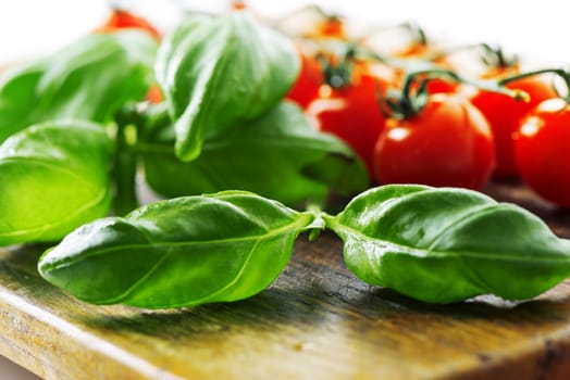 Tomatoes and basil leaf macro