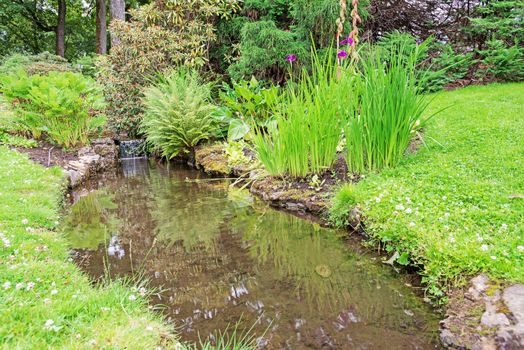 Stream in a garden