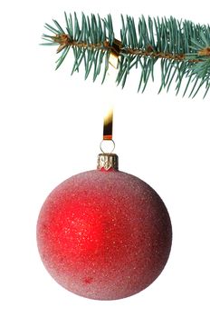 Red Christmas ball on fir branch