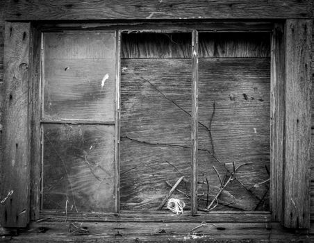 An animal skull rests on the window of an old barn.