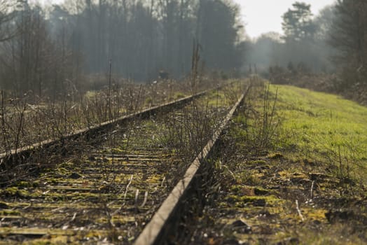 Old railway line "Borkense Course" near the German border in the municipality of Winterswijk. 
Previously ran here a railway line from Winterswijk to Borken in Germany. In 1989, the grounds of the Dutch railways transferred to a protected natural monument. The flora and fauna is very special in this protected area. Especially the sand lizard occurs between the stones of the old railway.