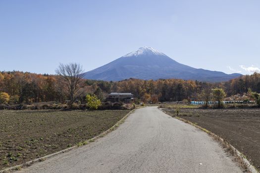 This photo was shot from the area around Mt.Fuji in Autumn. It is time to start snow cap on the top of Mt.Fuji. There are 5 lake around Mt.Fuji.