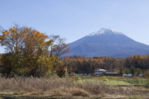 This photo was shot from the area around Mt.Fuji in Autumn. It is time to start snow cap on the top of Mt.Fuji. There are 5 lake around Mt.Fuji.