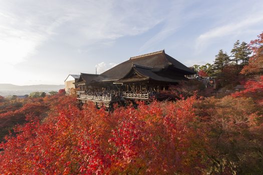 This photo was shot from Kiyomizu Temple in Kyoto, Japan. The maple leaves change to autumn color and the soft sunlight in the evening is so beautiful.