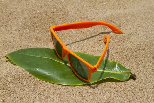 Orange sunglasses lying on the sand beach. India Goa.