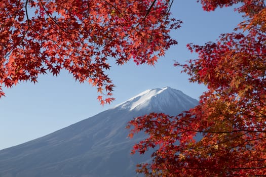 This photo was shot from the area around Mt.Fuji in Autumn. It is time to start snow cap on the top of Mt.Fuji and maple leaves change to autumn color. There are 5 lakes around Mt.Fuji.