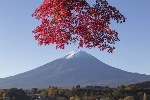 This photo was shot from the area around Mt.Fuji in Autumn. It is time to start snow cap on the top of Mt.Fuji and maple leaves change to autumn color. There are 5 lakes around Mt.Fuji.
