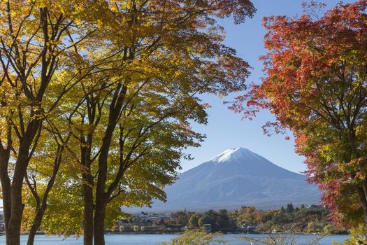 This photo was shot from the area around Mt.Fuji in Autumn. It is time to start snow cap on the top of Mt.Fuji and maple leaves change to autumn color. There are 5 lakes around Mt.Fuji.
