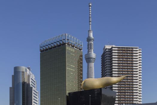 This photo was shot from Tokyo city which is the capital city of Japan. Tokyo is one of the big and busy city in the world but aslo the most beautiful. The japanese also nice.