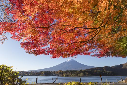 This photo was shot from the area around Mt.Fuji in Autumn. It is time to start snow cap on the top of Mt.Fuji and maple leaves change to autumn color. There are 5 lakes around Mt.Fuji.