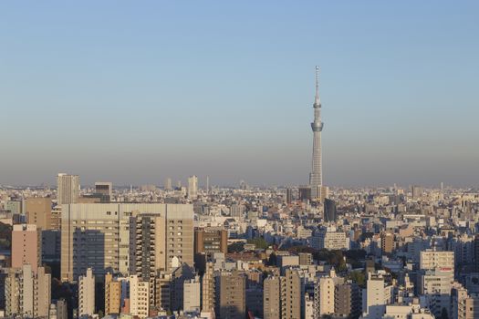 This photo was shot from Tokyo city which is the capital city of Japan. Tokyo is one of the big and busy city in the world but aslo the most beautiful. The japanese also nice.