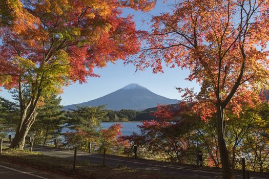 This photo was shot from the area around Mt.Fuji in Autumn. It is time to start snow cap on the top of Mt.Fuji and maple leaves change to autumn color. There are 5 lakes around Mt.Fuji.