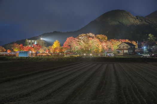 This photo was shot from the area around Mt.Fuji. The Momiji or Maple will light up at night. This is called maple corridor or maple tennel at Nashigawa river, Japan.