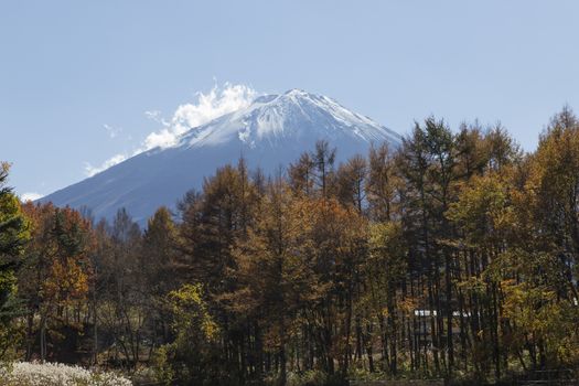 This photo was shot from the area around Mt.Fuji in Autumn. It is time to start snow cap on the top of Mt.Fuji. There are 5 lake around Mt.Fuji.
