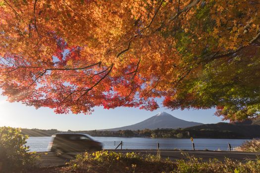 This photo was shot from the area around Mt.Fuji in Autumn. It is time to start snow cap on the top of Mt.Fuji and maple leaves change to autumn color. There are 5 lakes around Mt.Fuji.