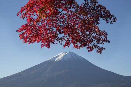 This photo was shot from the area around Mt.Fuji in Autumn. It is time to start snow cap on the top of Mt.Fuji and maple leaves change to autumn color. There are 5 lakes around Mt.Fuji.