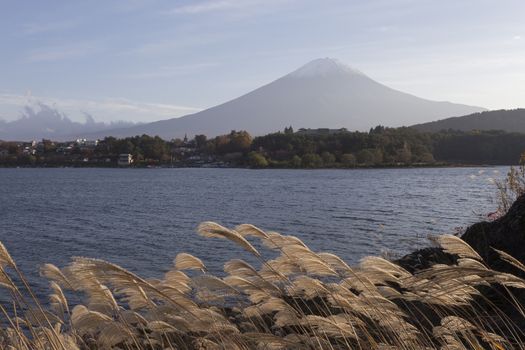 This photo was shot from the area around Mt.Fuji in Autumn. It is time to start snow cap on the top of Mt.Fuji. There are 5 lake around Mt.Fuji.