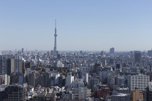 This photo was shot from Tokyo city which is the capital city of Japan. Tokyo is one of the big and busy city in the world but aslo the most beautiful. The japanese also nice.