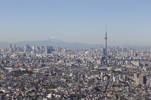This photo was shot from Tokyo city which is the capital city of Japan. Tokyo is one of the big and busy city in the world but aslo the most beautiful. The japanese also nice.