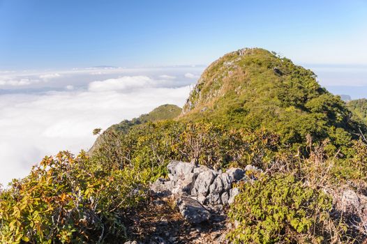 Perfect hiking trails on Doi Luang Chiang Dao wildlife sanctuary high limestone mountains, 7300 feet  above sea level.