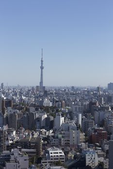 This photo was shot from Tokyo city which is the capital city of Japan. Tokyo is one of the big and busy city in the world but aslo the most beautiful. The japanese also nice.