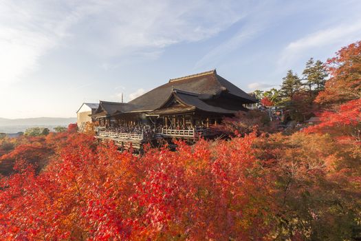 This photo was shot from Kiyomizu Temple in Kyoto, Japan. The maple leaves change to autumn color and the soft sunlight in the evening is so beautiful.