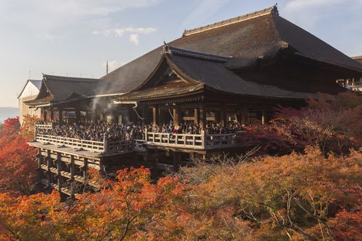 This photo was shot from Kiyomizu Temple in Kyoto, Japan. The maple leaves change to autumn color and the soft sunlight in the evening is so beautiful.