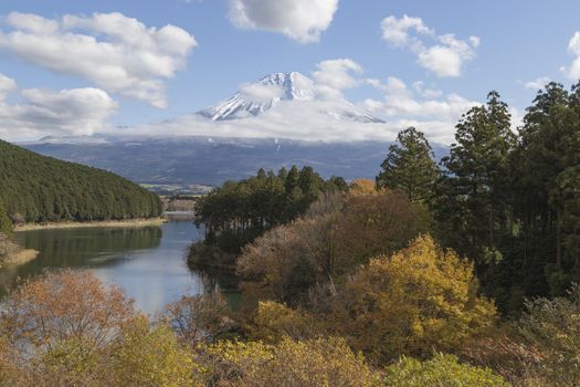 This photo was shot from the area around Mt.Fuji in Autumn. It is time to start snow cap on the top of Mt.Fuji. There are 5 lake around Mt.Fuji.