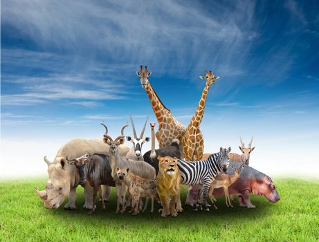 group of africa animals  with green grass and blue sky