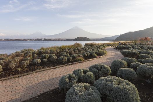 This photo was shot from the area around Mt.Fuji in Autumn. It is time to start snow cap on the top of Mt.Fuji. There are 5 lake around Mt.Fuji.