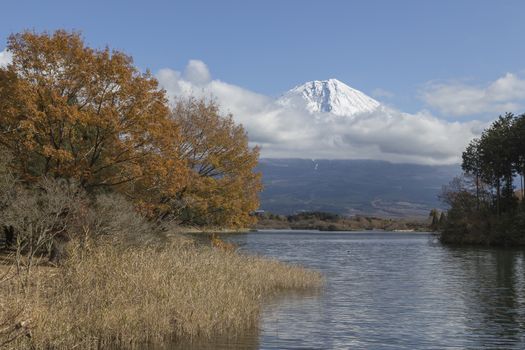 This photo was shot from the area around Mt.Fuji in Autumn. It is time to start snow cap on the top of Mt.Fuji. There are 5 lake around Mt.Fuji.