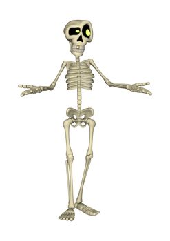 3D digital render of a cartoon human skeleton isolated on white background