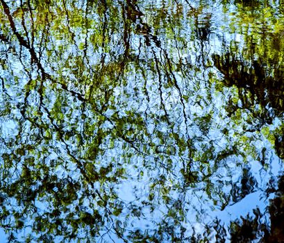 abstract background Mirroring of trees in water