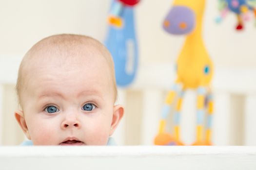 5 months old baby girl in a crib looking at the camera. Three colorful toys hanging in the back.