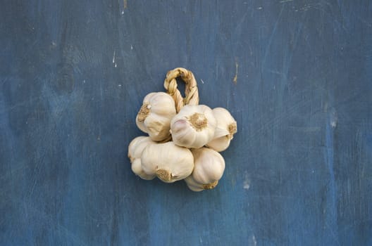 healthy garlic vegetable bunch on blue wooden kitchen old wall