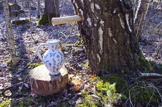 vintage ceramic pitcher jug and birch tree with spigot and sap drops