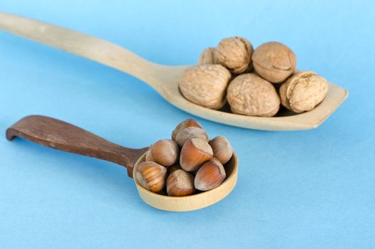 healthy vegetarian  food hazelnuts and walnuts in wooden spoons