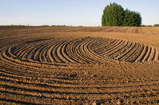 freshly cultivated farmland field soil - agriculture landscape