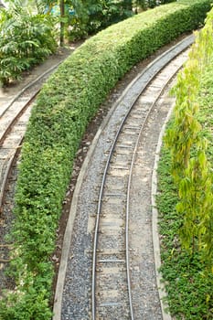 Curved of railway on right hand side between tree in garden.