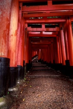 Fushimi Inari Shrine
