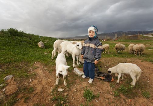 ANATOLIA, TURKEY APRIL 18: Unidentified young boy shepherd with sheep and goats on April 18, 2012 in rural Anatolia, Turkey prior to Anzac Day.